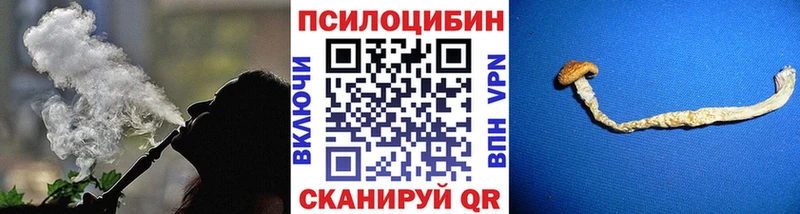 Псилоцибиновые грибы Cubensis  Мещовск 